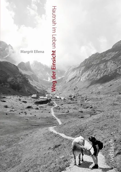 Cover: Weg der Einsicht