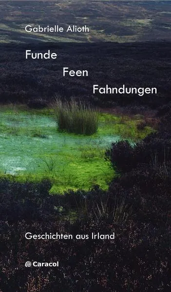 Funde Feen Fahndungen