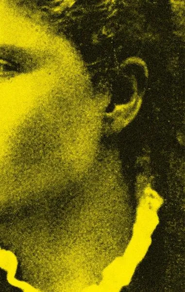 Cover: Ich will dich sehen mit deinem Verbrechergesicht