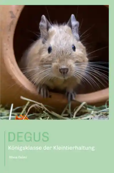 Degus