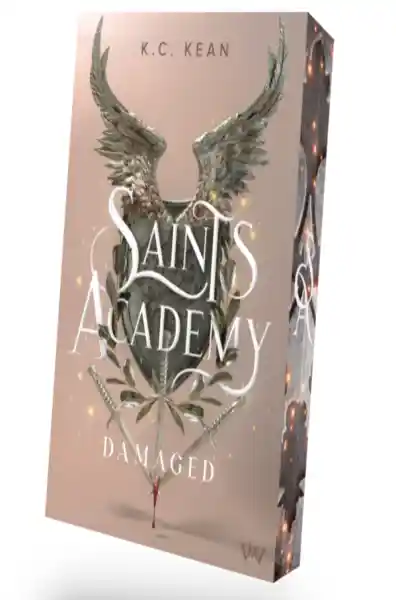 Saints Academy 2 - Damaged