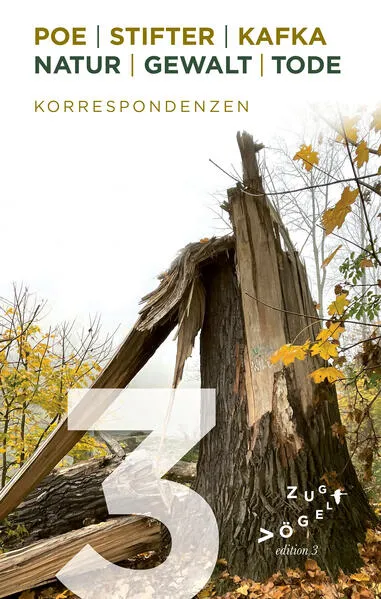 Cover: Poe - Stifter - Kafka