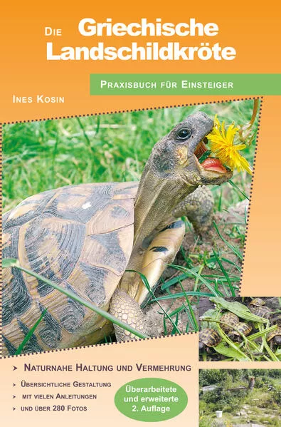 Cover: Die Griechische Landschildkröte
