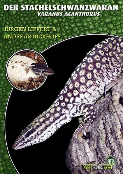 Der Stachelschwanzwaran
