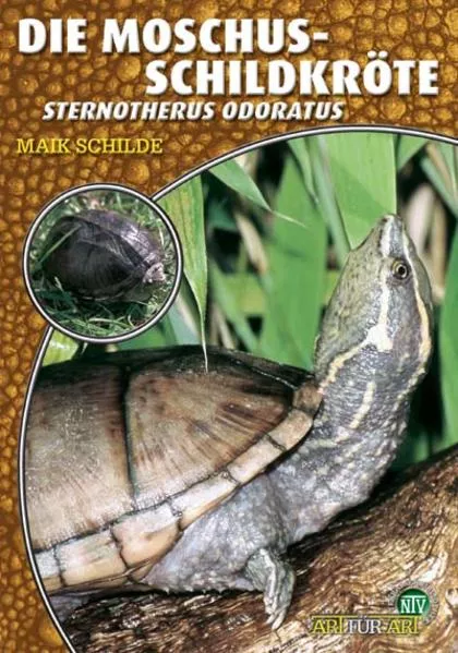 Cover: Die Moschusschildkröte