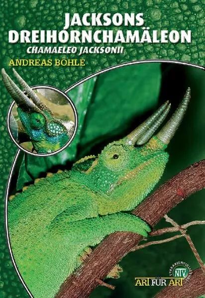 Cover: Jacksons Dreihornchamäleon