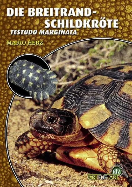 Cover: Die Breitrandschildkröte
