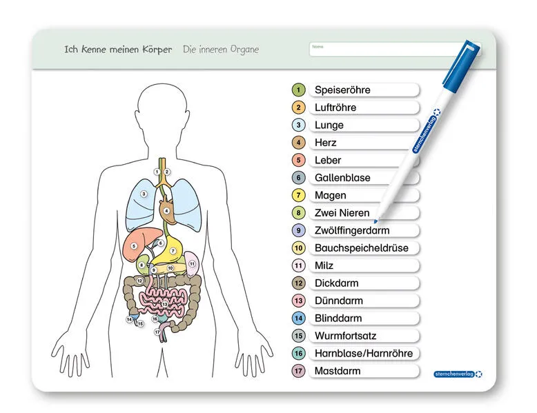 Ich kenne meinen Körper - Die inneren Organe