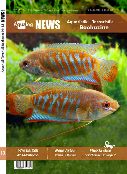 Cover: News Bookazine Nr.: 13 (Herbst 2023)