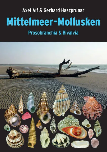 Cover: Mittelmeer-Mollusken
