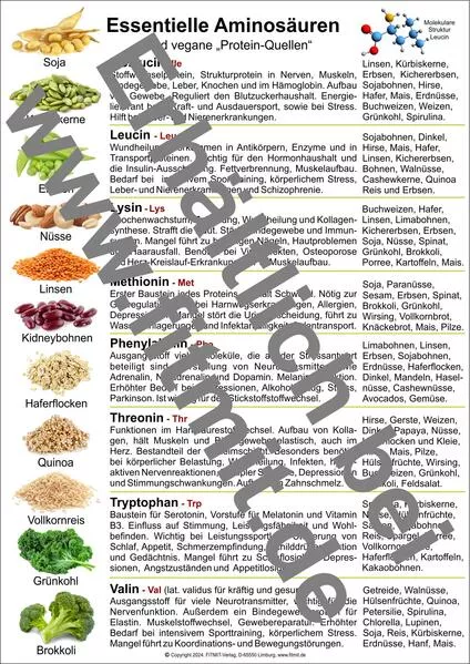 Cover: Aminosäure und vegane Protein-Quellen