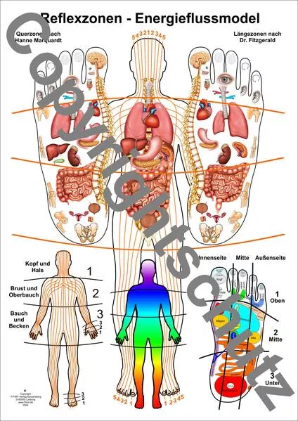 Reflexzonen - Energieflussmodel