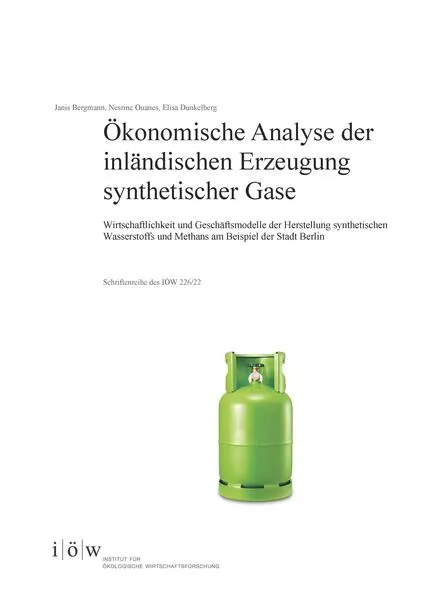Cover: Ökonomische Analyse der inländischen Erzeugung synthetischer Gase