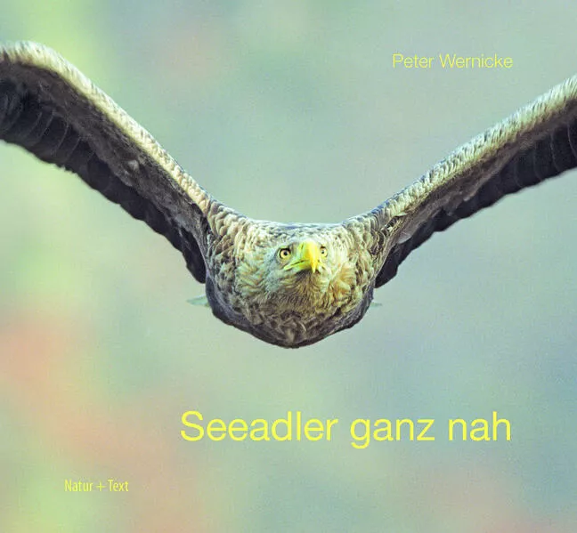 Cover: Seeadler ganz nah