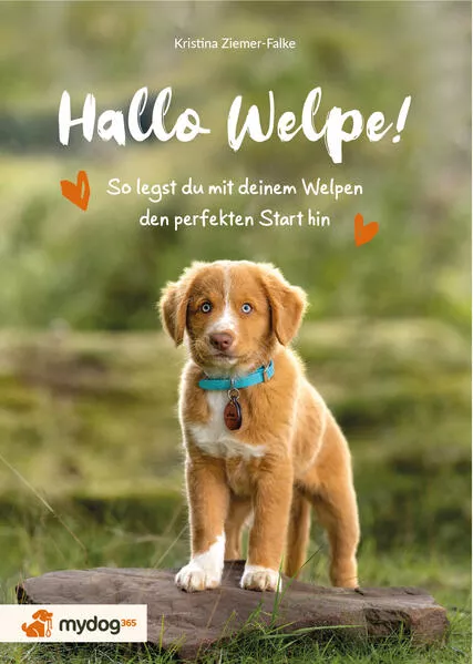 Hallo Welpe!</a>