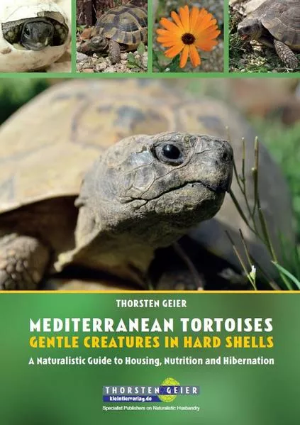 Cover: Mediterranean Tortoises: Gentle Creatures in Hard Shells