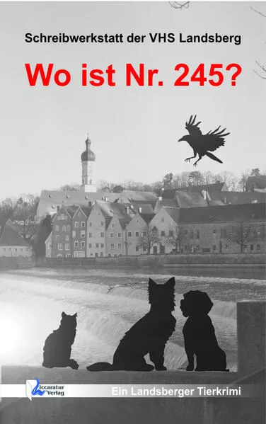 Cover: Wo ist Nr. 245?