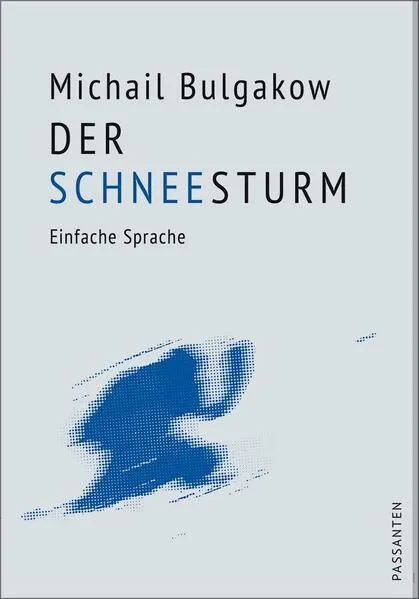 Cover: Der Schneesturm