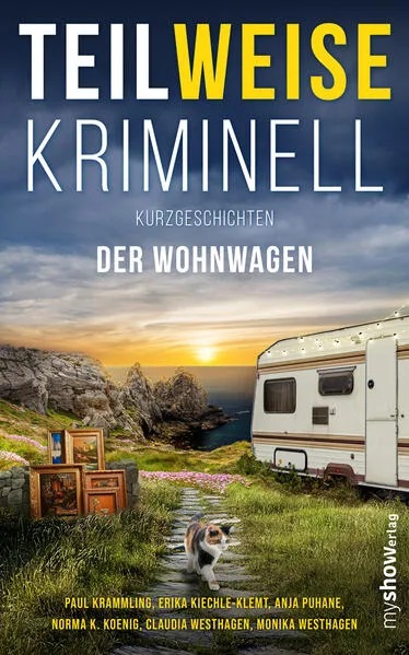 Cover: TEILWEISE KRIMINELL
