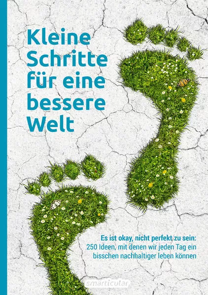 Cover: Kleine Schritte für eine bessere Welt