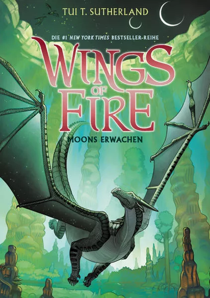 Cover: Wings of Fire 6