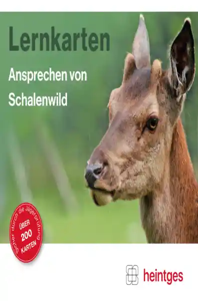Cover: Lernkarten Ansprechen von Schalenwild
