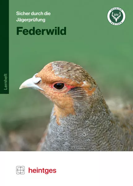 Cover: Federwild