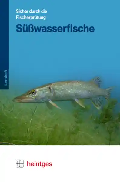 Cover: Süßwasserfische