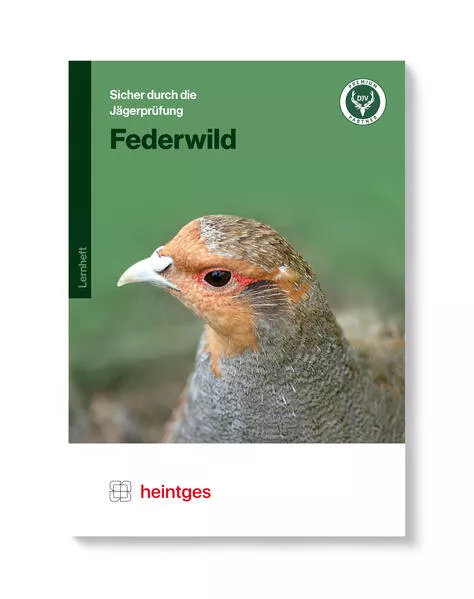 Federwild
