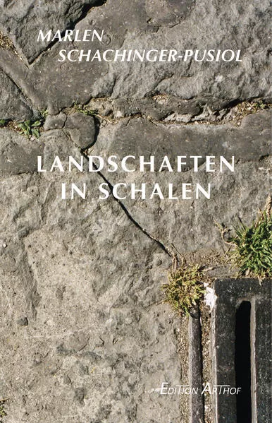 Cover: Landschaften in Schalen