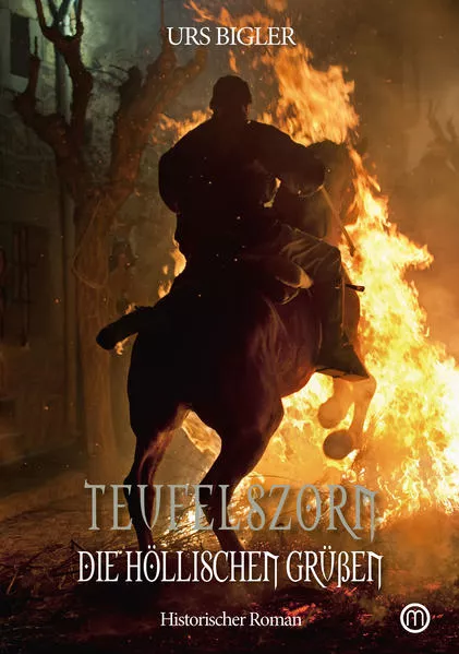 Cover: Teufelszorn-Trilogie - Band 3