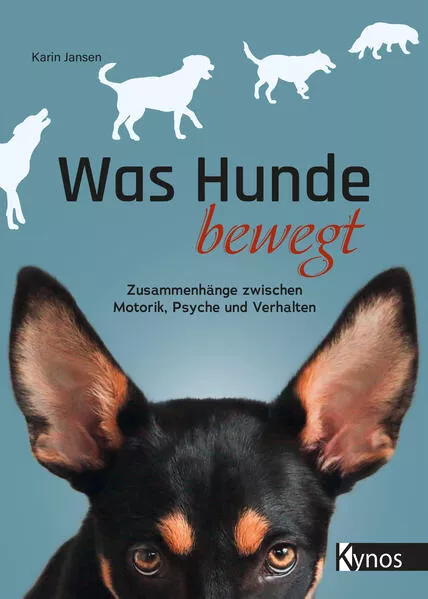 Cover: Was Hunde bewegt