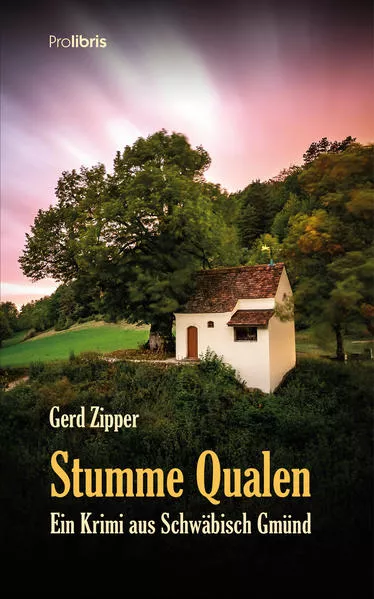 Cover: Stumme Qualen