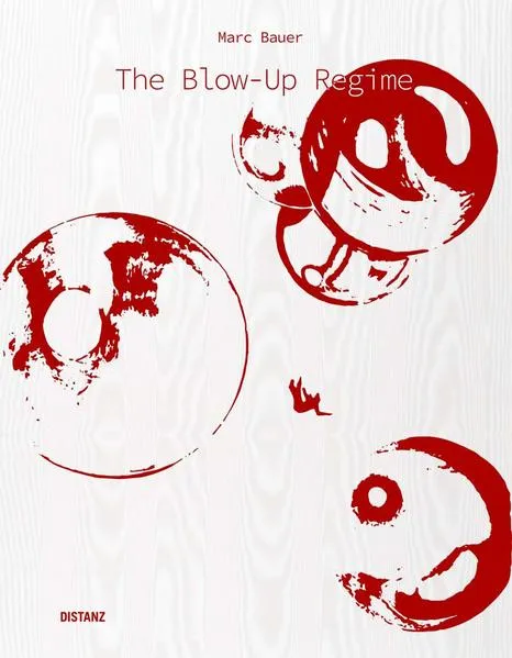 Cover: The Blow-Up Regime
