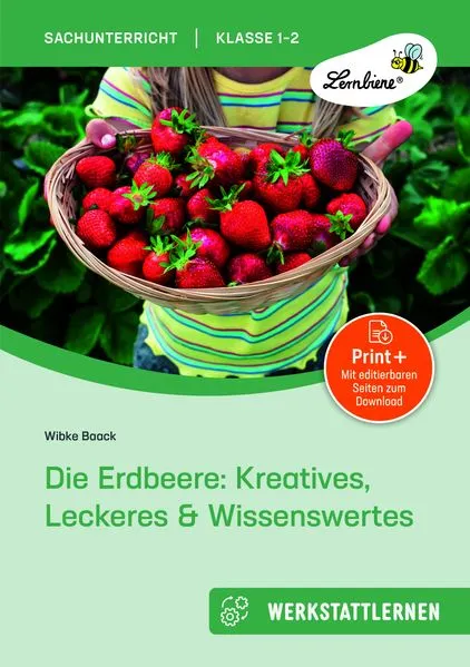 Die Erdbeere: Kreatives, Leckeres & Wissenswertes