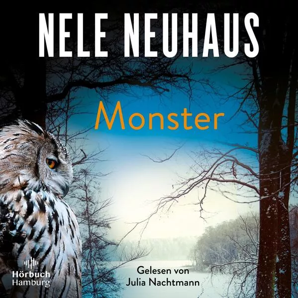 Cover: Monster (Ein Bodenstein-Kirchhoff-Krimi 11)