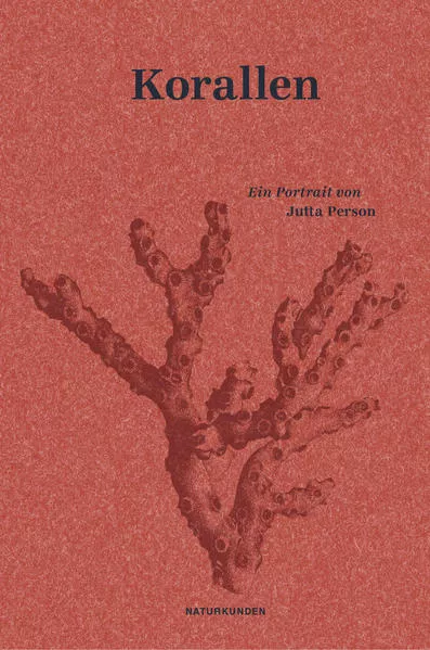 Cover: Korallen