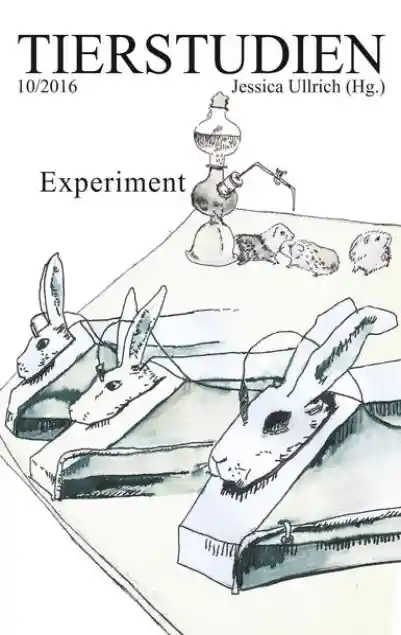 Cover: Experiment