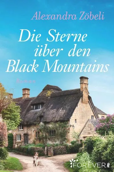 Cover: Die Sterne über den Black Mountains