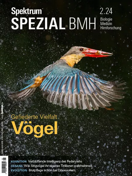 Cover: Spektrum Spezial BMH 2/2024 - Vögel