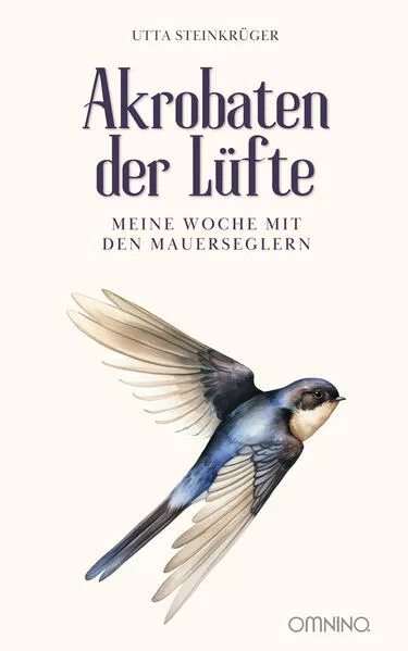 Akrobaten der Lüfte - Meine Woche mit den Mauerseglern