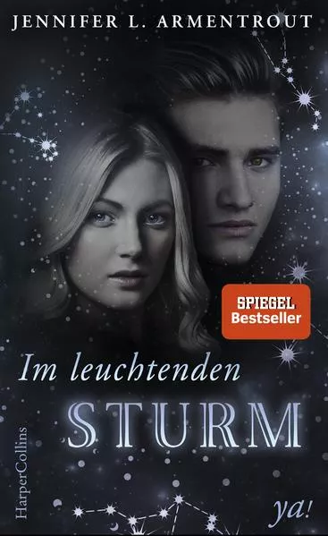 Cover: Im leuchtenden Sturm