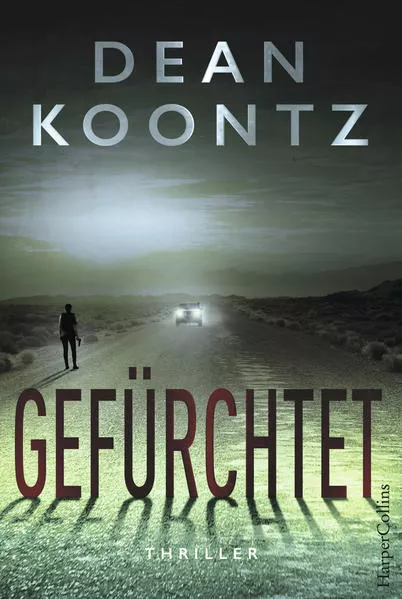 Cover: Gefürchtet