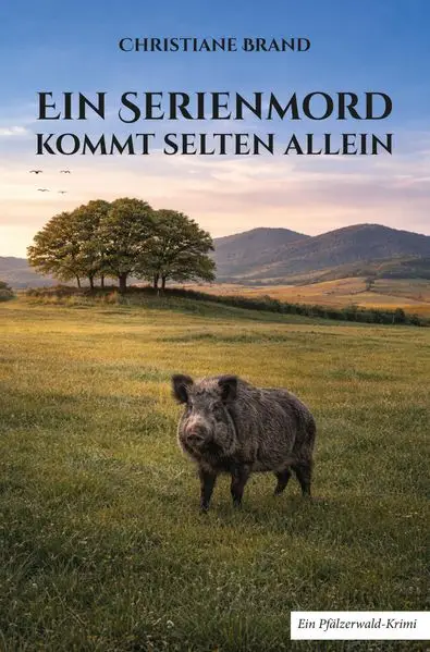 Cover: Ein Serienmord kommt selten allein