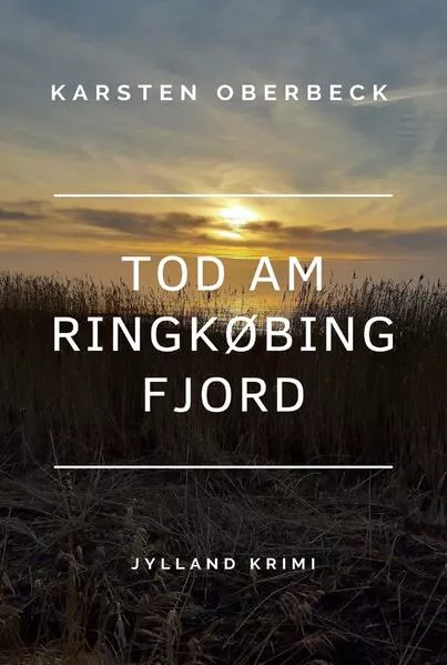 Cover: Tod am Ringkøbing Fjord