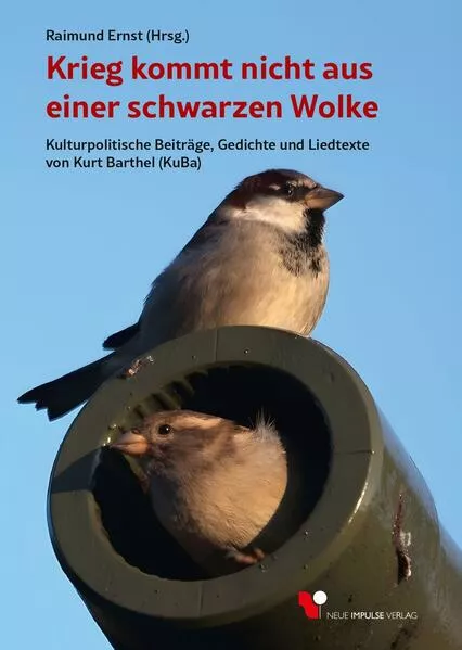 Cover: Krieg kommt nicht aus einer schwarzen Wolke