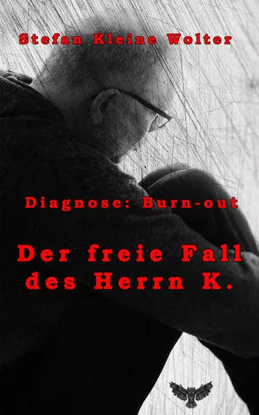 Cover: Der freie Fall des Herrn K.