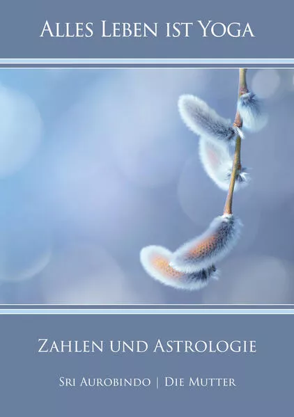 Cover: Zahlen und Astrologie