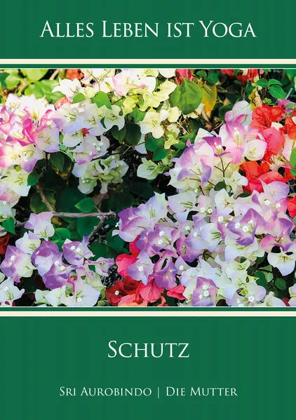 Cover: Schutz