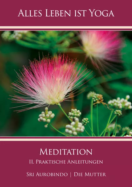 Cover: Meditation